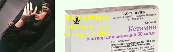 гидра Арсеньев