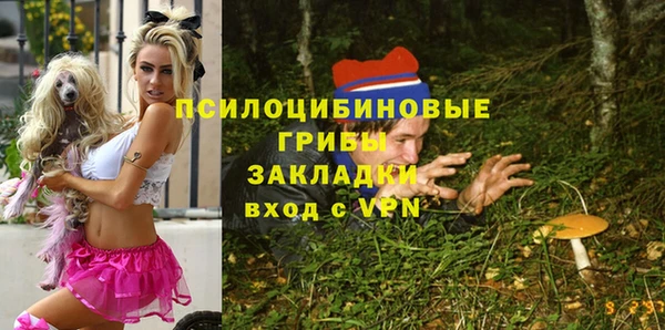 прущий лед Аркадак