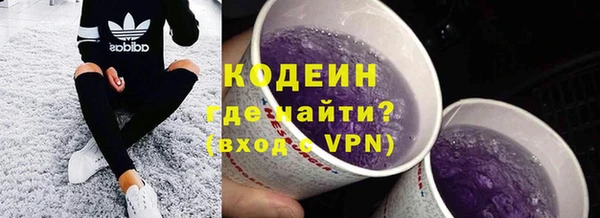 гидра Арсеньев