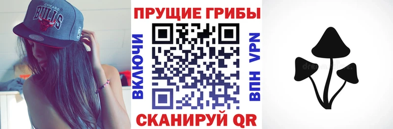 где можно купить наркотик Бобров Псилоцибиновые грибы ЛСД