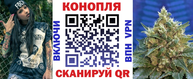 Марихуана сатива  где купить наркоту  Бобров 